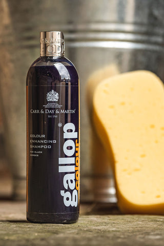 Gallop Shampoo