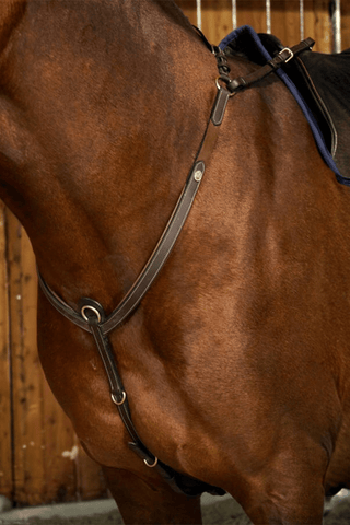 Dyón Brösta Med Brygga Mässing Working