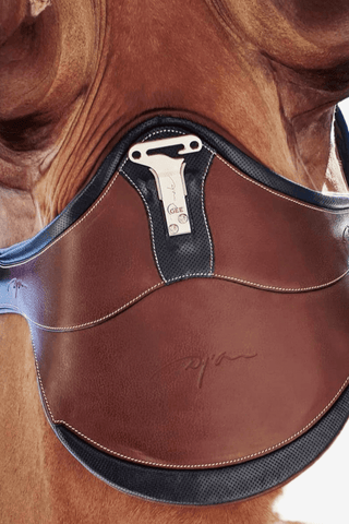 Dyón Magplatta The Difference