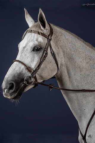 Dyón Träns Läderklädd Repnosgrimma New English