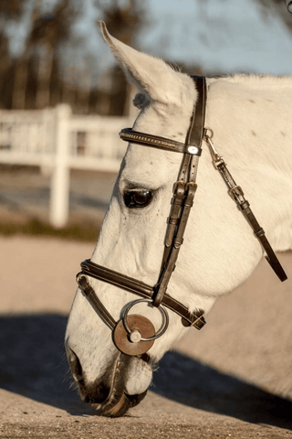 Dyón Träns Med Kombinerad Nosgrimma Mässing Working