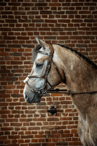 Dyón Träns Mexikansk Nosgrimma Dyon Collection