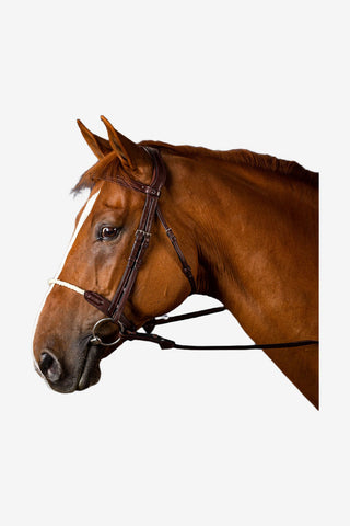 Dyón Träns Repnosgrimma New English