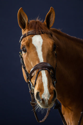 Hoofdstel Anatomisch Breed Neusriem