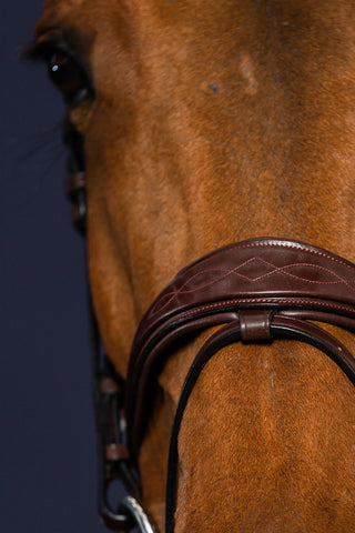 Bridle Anatomical Flash New English Brown