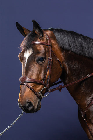Bridle Anatomical Flash New English Brown
