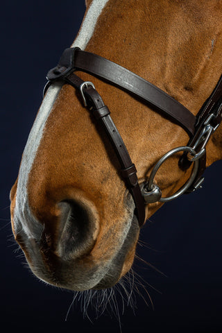 Hoofdstel Platte Neusriem Working Collection Bruin