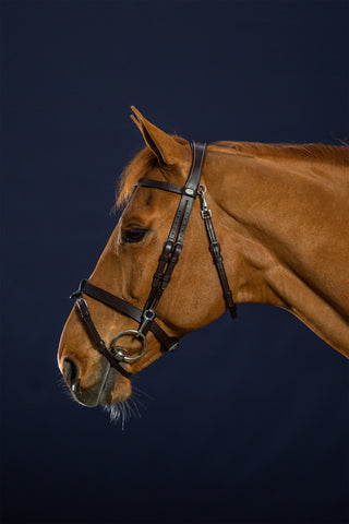 Hoofdstel Platte Neusriem Working Collection Bruin