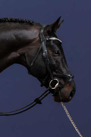 Hoofdstel X-fit Anatomisch New English Zwart