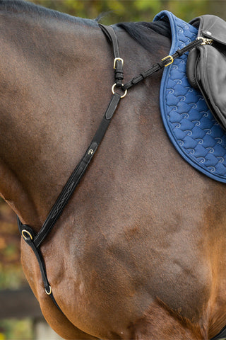 Brösta Med Brygga Dyon Collection