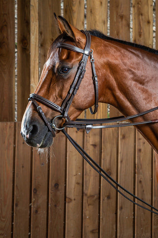 Læder Indspændingstøjle Working Collection Brun