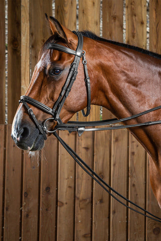 Draw Reins Leather Working Collection Black