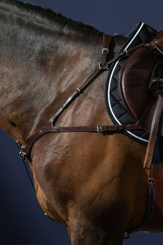 Brystfortøj 5-punkts New English Brun