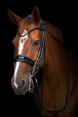 Edinburgh Kandarträns