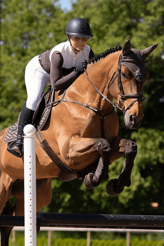 Equestrian Stockholm Huva