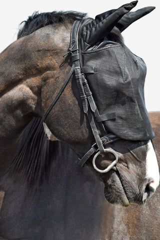 Equilibrium Ridflugmask