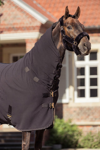 Lammfellhalfter Complete Heritage AW25 Black Truffle