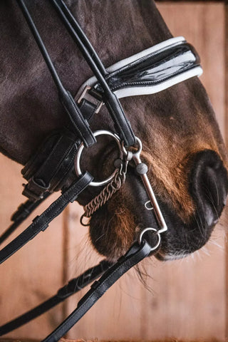 Fager Bits Sofia Titan Weymouth