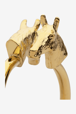 Get The Gallop Häst Ring