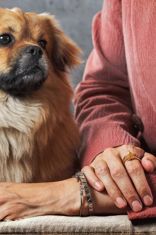 Get The Gallop Häst Ring