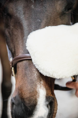 Lammeskind Grooming Handske