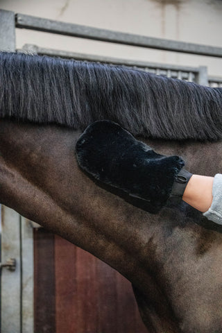 Sheepskin Grooming Glove