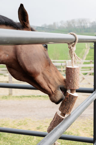 Trælegetøj Natur Brun