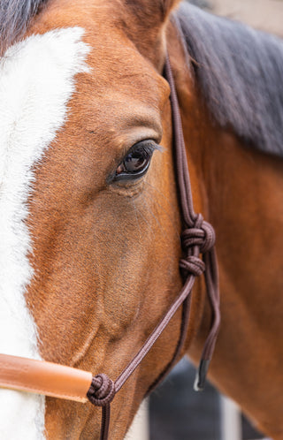Kantar sznurkowy Brązowy