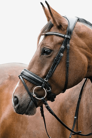 Horse Guard Classic Ergo Träns