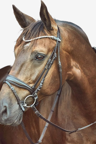 Horse Guard Träns Cryll III Pull-Back nosgrimma