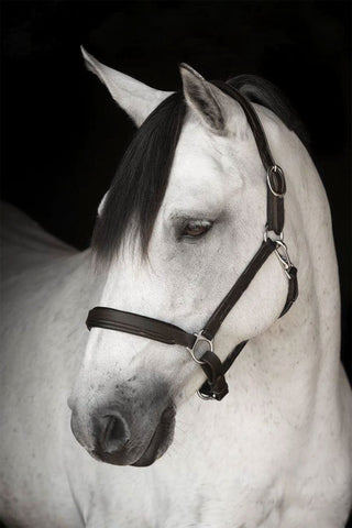 Leather Halter