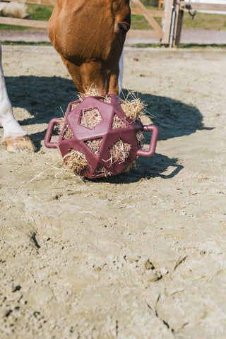 Relax Play&Hay Ball