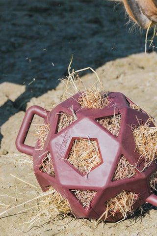 Relax Play&Hay Bold