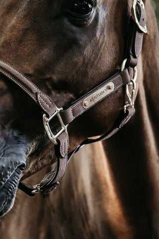 Anatomisk Ruskindsgrime