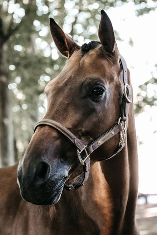 Anatomisk Ruskindsgrime