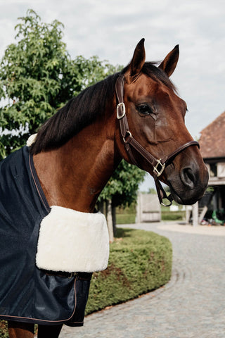 Lammeskind BIB