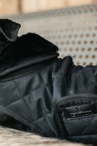 Original Hundtäcke 160g