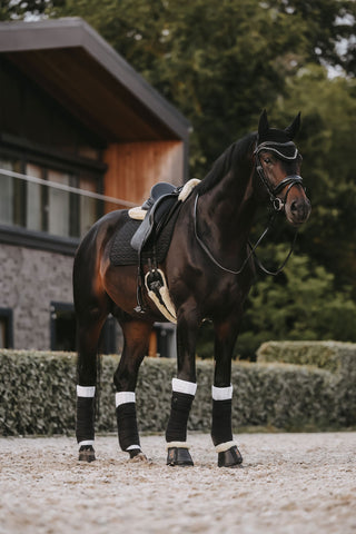 Lammeskind Dressurgjord