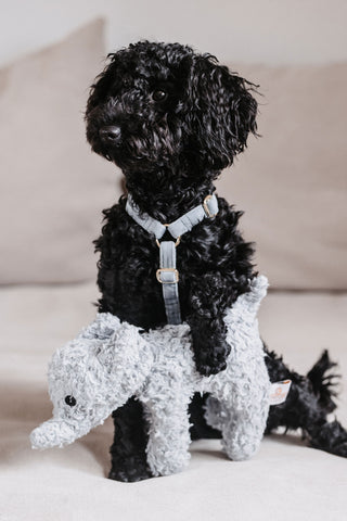 Elephant Elsa Dog Toy