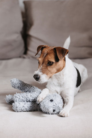 Elephant Elsa Dog Toy