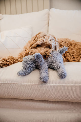 Elephant Elsa Dog Toy