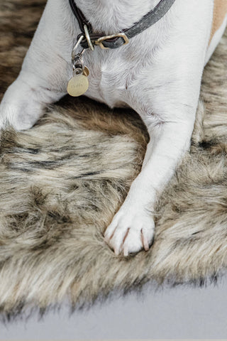 Fuzzy Blanket To Go