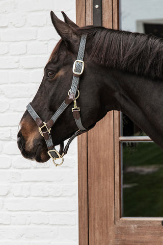 Flätad Nylon Lädergrimma Grå