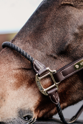 Kentucky Horsewear Repgrimma Läder