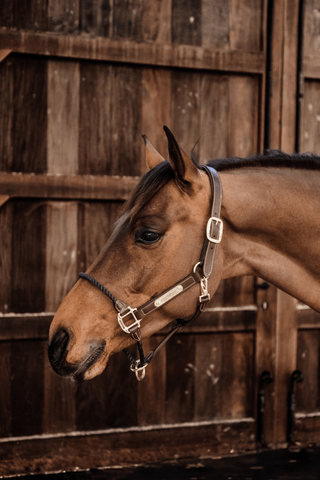 Kentucky Horsewear Repgrimma Läder