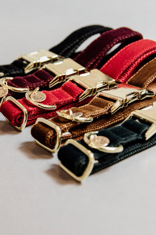 Corduroy Dog Collar
