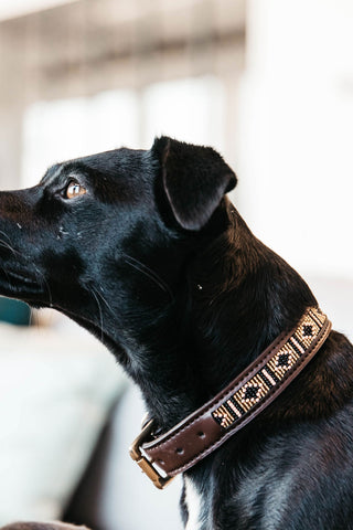 Pearls Dog Collar