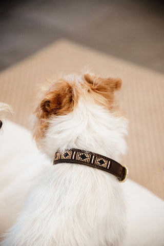 Pearls Dog Collar