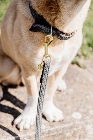 Flätat Nylon Halsband