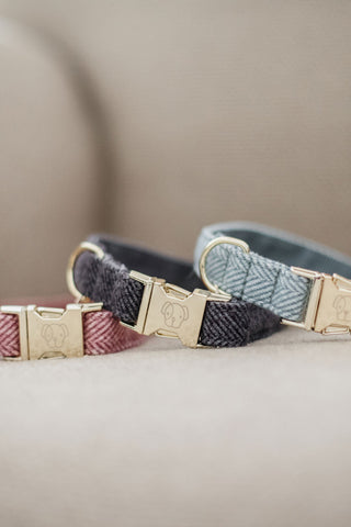 Wool Dog Collar